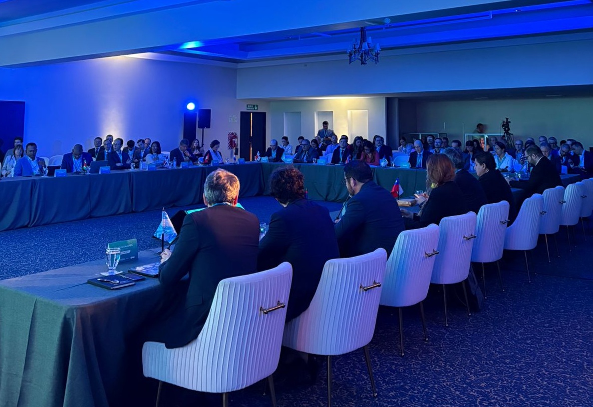 Participantes de la actividad